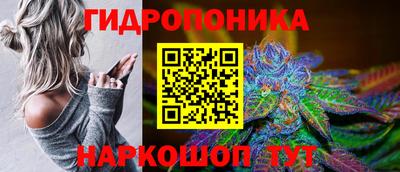 СК Брянск
