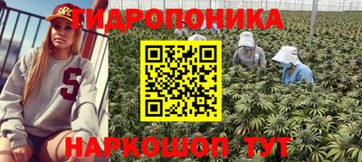 стафф Братск