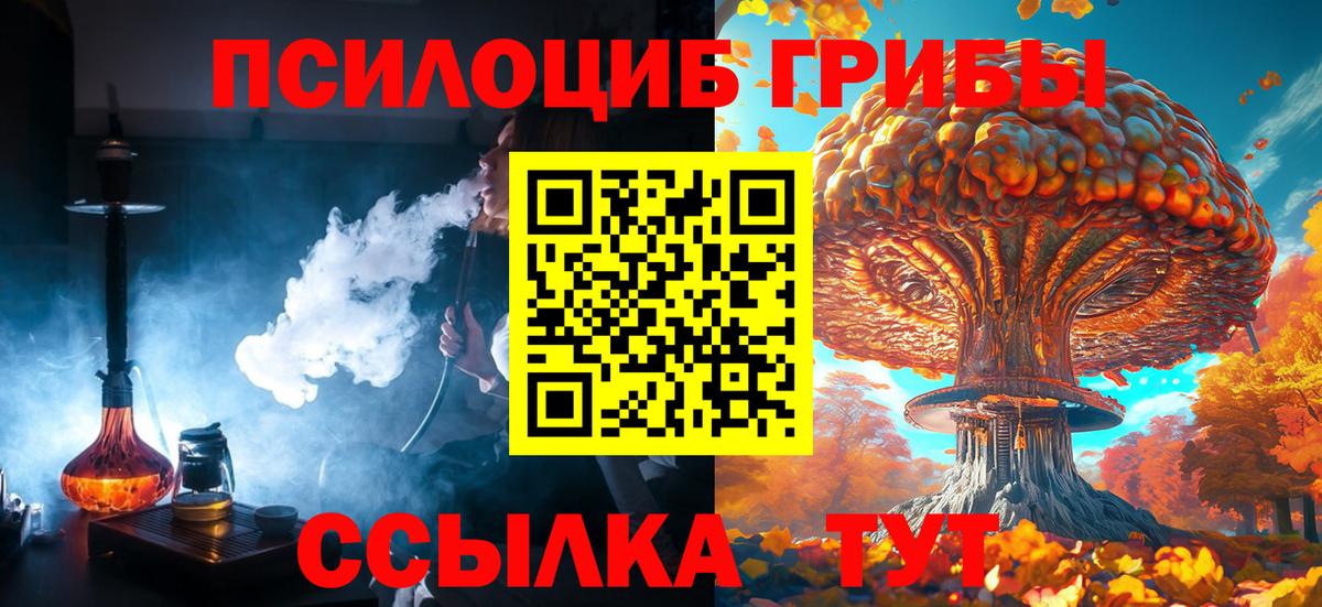 Псилоцибиновые грибы мухоморы Знаменск